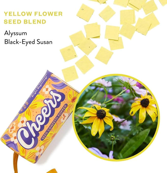 Modern Sprout Plantable Seed Paper Confetti Poppers Refill Packs (12 Pack/100pc) - Plastic-Free Refill for Creative Gardening - Wildflower Seeds for Kids Garden Party Favors & Birthday Poppers -Cheers
