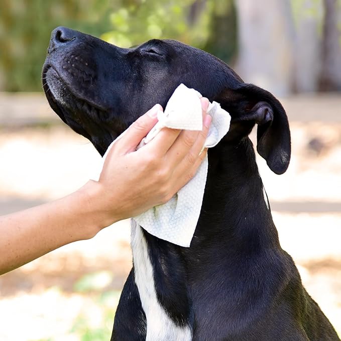 StripHair DOG Horse Grooming Set 2pc Gentle Groomer 6-in-1 Shedding Massage Brush Pet Hair Remover Tool (flexi red) + Dog Pet Wipes (8x8in)