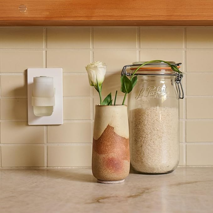 MRS. MEYER'S CLEAN DAY Premium Scented Oil Diffuser Kit, Rain Water, 1 warmer and .67 fl oz refill