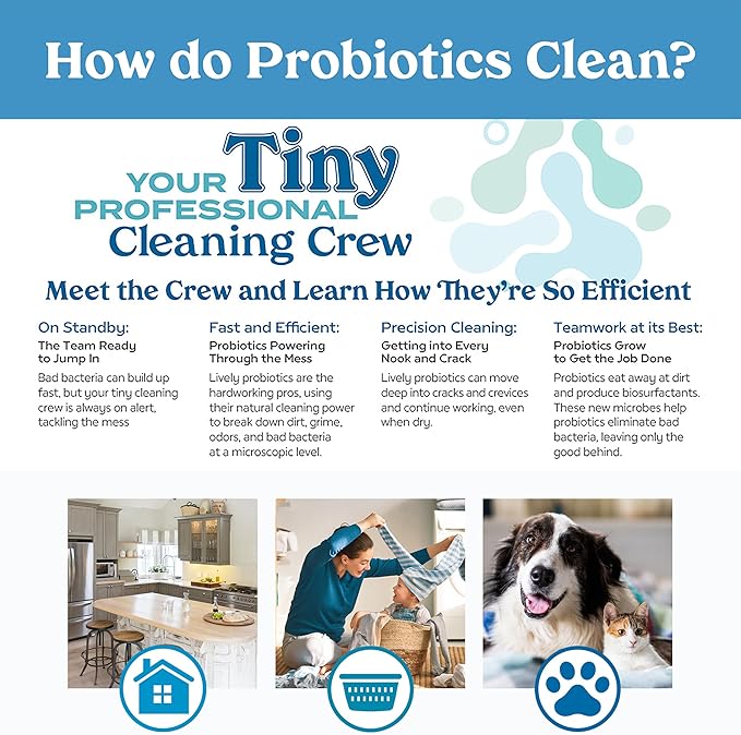 Lively Home Cleaning & Stain Removal Bundle – Multi-Purpose Cleaner and Laundry Stain Remover