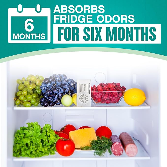 Refrigerator Deodorizer with Zeolites (1-Pack) - Odor Eliminator for Fridge & Freezer - Outshines Baking Soda and Bamboo Charcoal Bags - Long-Lasting, & Safe