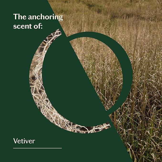 LIVEDROPS 24/7 Balanced Vetiver Essential Oil, Natural Vegan Aromatherapy for Diffuser or Diluted Skin Use, Earthy Woody Scent, Origin Haiti, Made in USA, Clinically Tested, 10ml