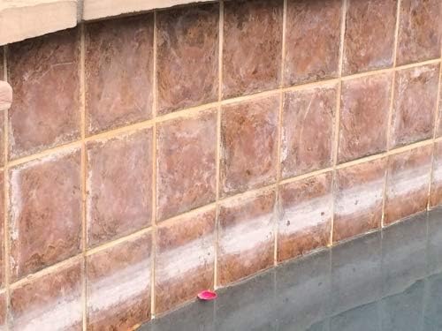 Piranha Water Pool Tile and Shower Calcium Descaling Spray - Biodegradable Rust Mineral Buildup Remover - Multi-Surface Lime Removal Spray - 32 oz