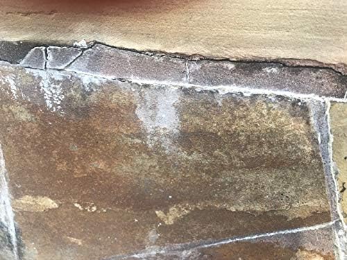 Piranha Water Pool Tile and Shower Calcium Descaling Spray - Biodegradable Rust Mineral Buildup Remover - Multi-Surface Lime Removal Spray - 32 oz