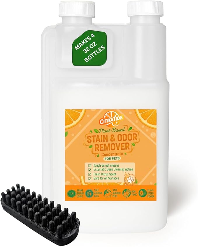 Stain & Odor Remover Concentrate (16 fl oz) – Citrus Powered Enzymatic Cleaner – Plant-Based Pet Safe Formula for Carpets, Upholstery, Hard Floors & More – USA Made, Eco-Friendly, Non-Toxic
