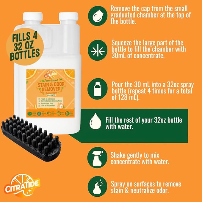 Stain & Odor Remover Concentrate (16 fl oz) – Citrus Powered Enzymatic Cleaner – Plant-Based Pet Safe Formula for Carpets, Upholstery, Hard Floors & More – USA Made, Eco-Friendly, Non-Toxic