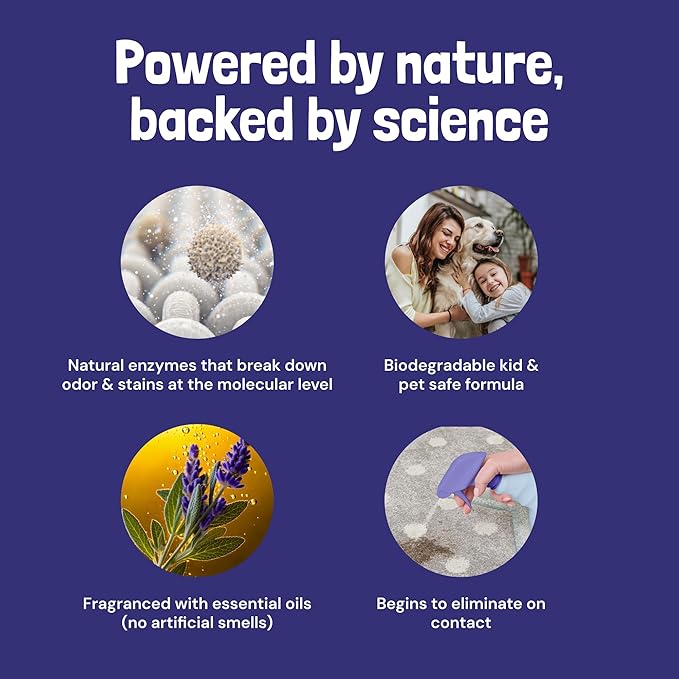 Sunny & Honey Pet Stain & Odor Miracle - 32 Fl Oz, Light Lavender Scent - Carpet Stain Remover & Urine Odor Eliminator - Upholstery Cleaner Spray - Enzyme Formula for Upholstery, Couch & Mattress