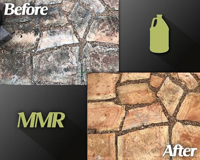 Bad Axe MMR Instant Mold Stain and Mildew Stain Remover - Professional Strength, Contractor Grade Cleaning Solution, Professional Quality Formula, Odor Removal, (1) Gallon & (1) 32oz