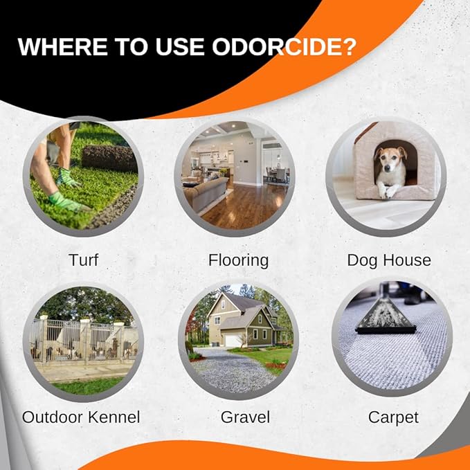 ODORMED Odor Eliminator Concentrate – Pet Odor Eliminator for Strong Odor on Floors, Walls, Cages & More – All-Purpose Carpet Deodorizer w/Safe, Non-Enzymatic Formula (1 Gal, Caribbean Citrus Mist)