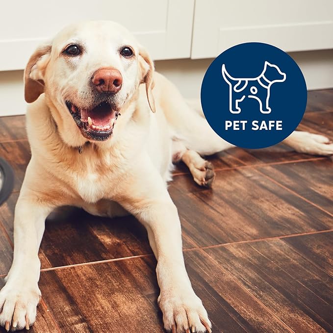 Hypochlorous Acid Wipes Starter Kit – 100 Count Dry Wipes with 32 oz Organic HOCl Cleaning Solution– Disinfecting Wipes for Skin, Baby, Pet & Home in a Reusable Container