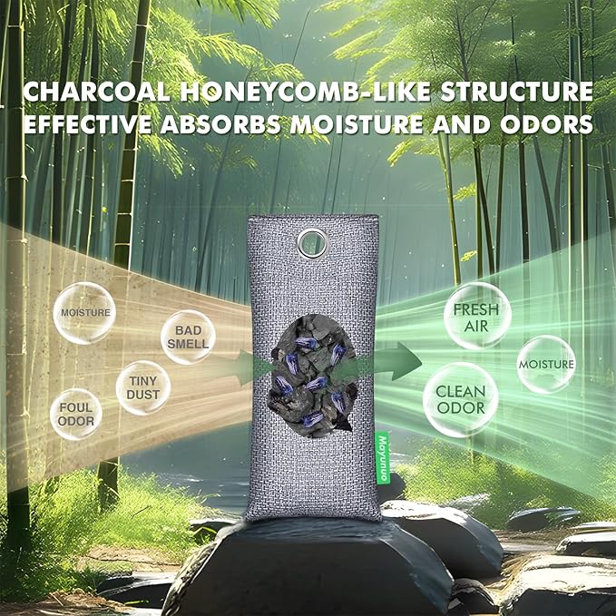 Activated Charcoal Odor Absorber for Strong Odor, Natural Shoe Deodorizer. Sneaker Odor Eliminator, 2 Pack Bamboo Charcoal Air Purifying Bags, Odor Remover Moisture Absorbers for Shoes