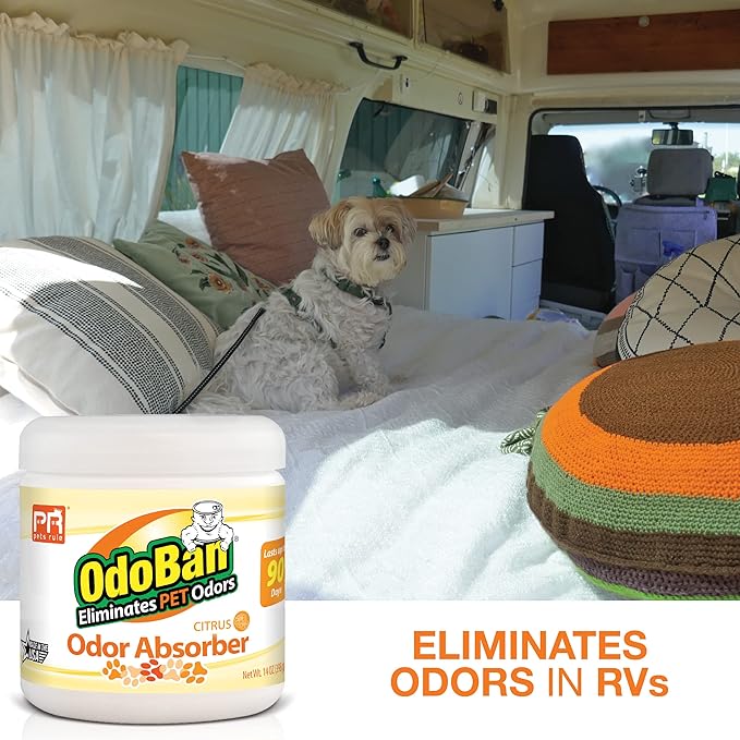 Pets Rule OdoBan Solid Odor Absorber Air Freshener, 3-Pack, 14 Ounce Jar Each, Citrus Scent