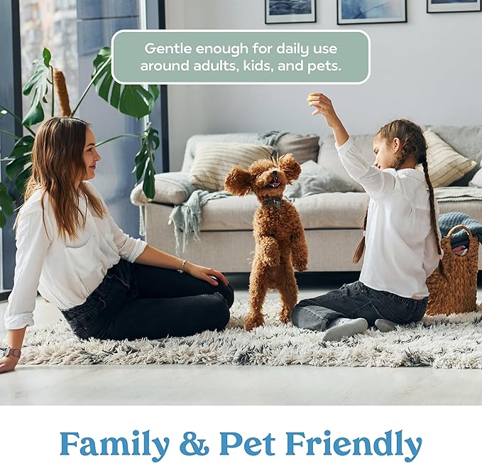 Lively Home Cleaning & Stain Removal Bundle – Multi-Purpose Cleaner and Laundry Stain Remover