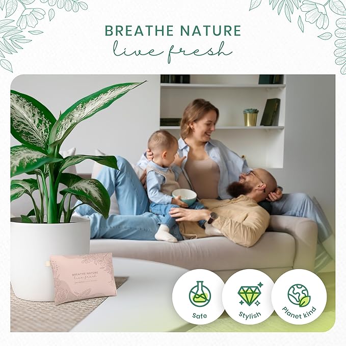 Roonin Activated Charcoal Odor Absorber - Mildew Smell Eliminator - Room Odor Eliminator Remover - Closet Freshener - Odor Neutralizer For Home - Bamboo Charcoal (2-pack)