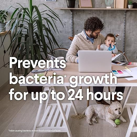 Clorox Lemon Disinfecting Wipes Canister 35 ct (Pack of 12)